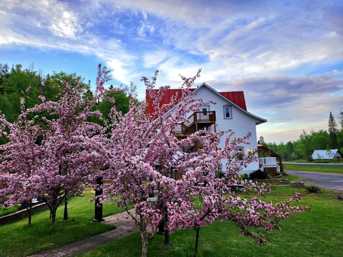 Printemps à l'auberge